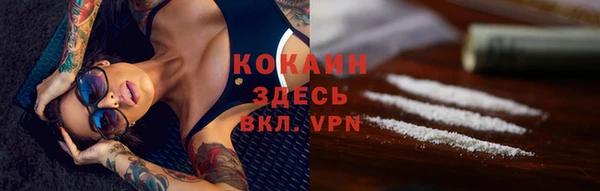 молекула духа Волосово