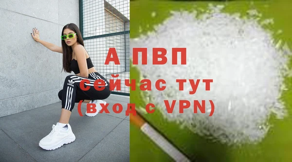 молекула духа Волосово