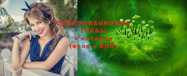 молекула духа Волосово